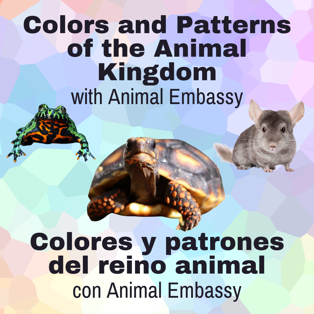 Children's Program